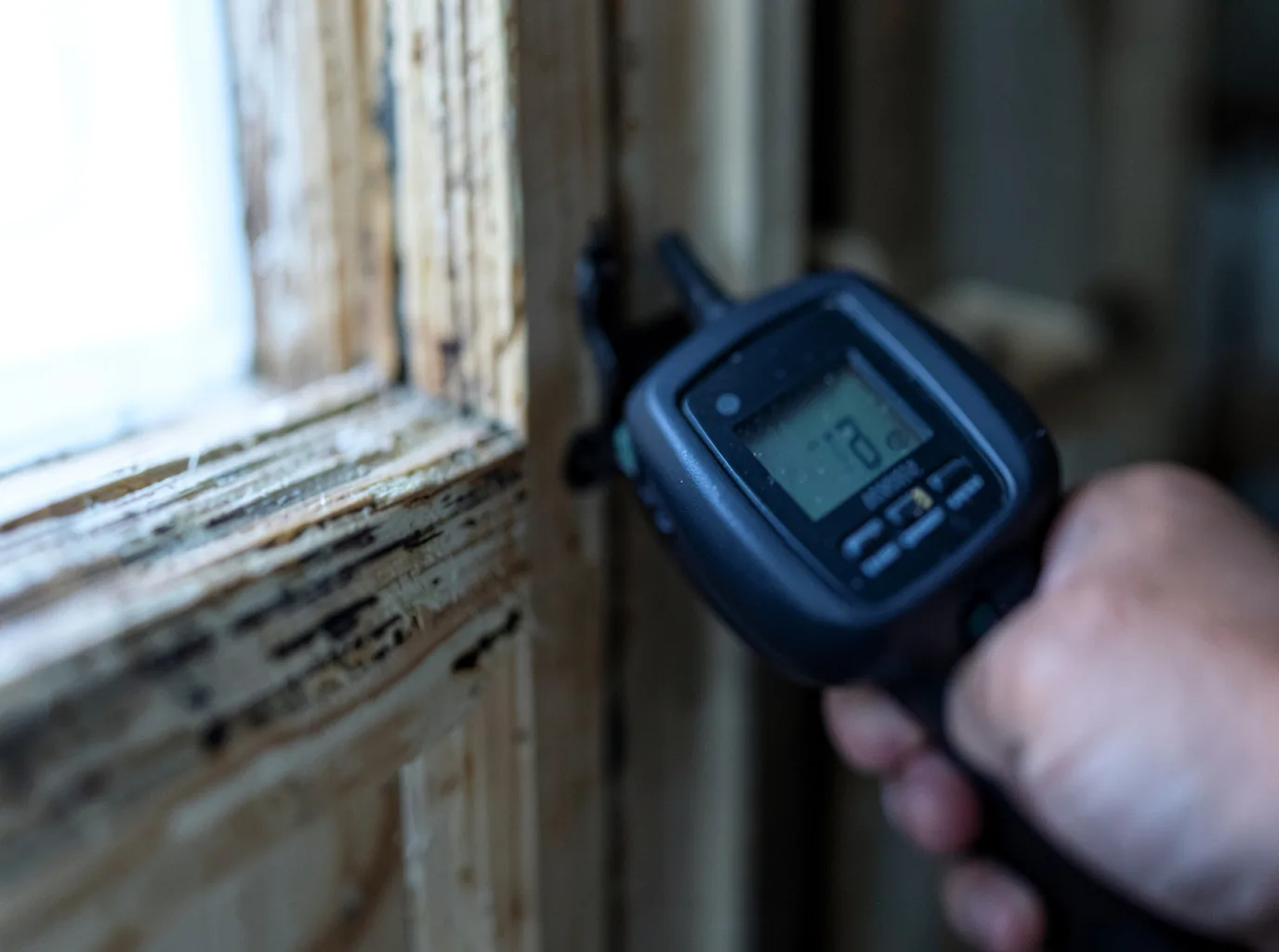 Commercial Water Damage Restoration in Rabun Gap, GA